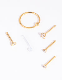 Gold Surgical Steel Mix Stud Ring Nose 6-Pack - link has visual effect only