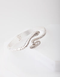 Antique Silver Snake Bangle - link has visual effect only