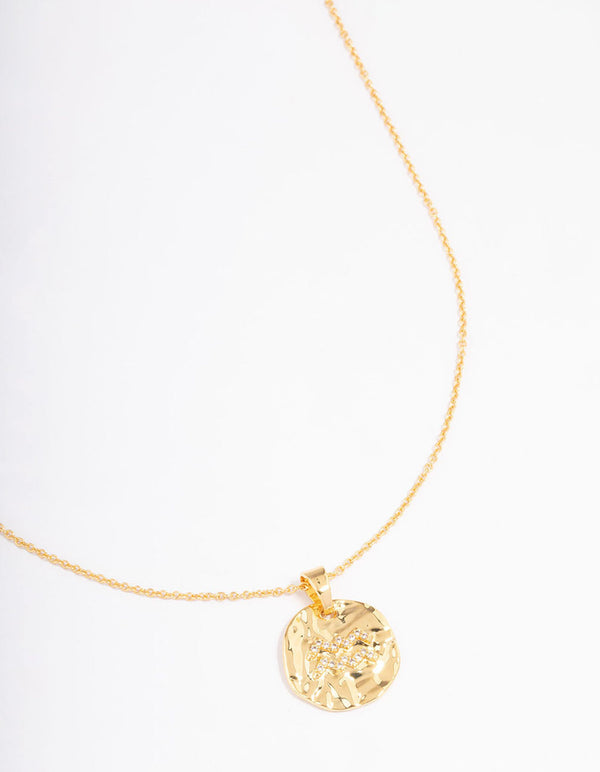 Gold Plated Aquarius Coin Pendant Necklace