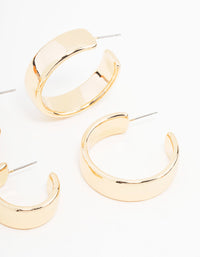 Gold Chubby Hoop Earrings 2-Pack - link has visual effect only