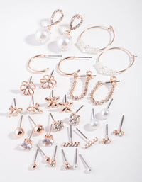 Rose Gold Feminine Fun 16-Pack Earring - link has visual effect only